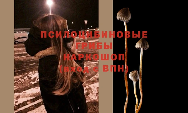 крисы Осташков