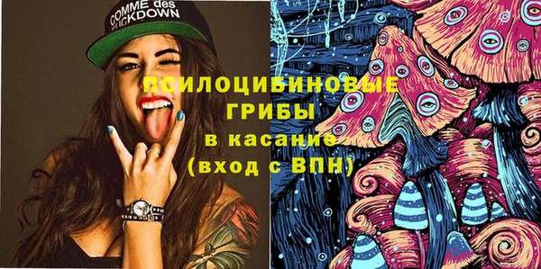mdpv Осинники