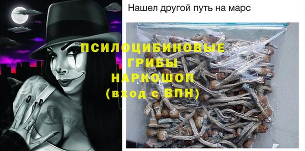 крисы Осташков